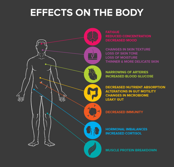 Effects On The Body: Pointing to the brain: fatigue, reduced concentration, decreased mood. Pointing to face: changes in skin texture, loss of skin tone, loss of moisture, thinner and more delicate skin. Pointing to heart: narrowing of arteries, increased blood glucose. Pointing to colon: decreased nutrient absorption, alterations in gut motility, changes in mirobiome, leaky gut. Pointing to spleen: decreased immunity. Pointing to kidneys and adrenals: hormonal imbalances, increased cortisol. Pointing to muscles: muscle protein breakdown. 