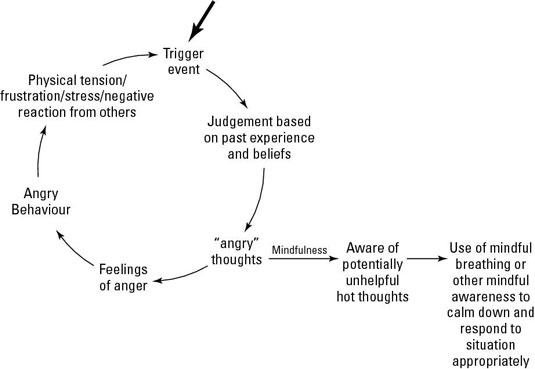 Trigger event - Judgement based on past experience and beliefs - "angry" thoughts - feelings of anger - angry behavior - physical tension/frustration/stress/negative reaction from others - "angry" thoughts - mindfulness - aware of potentially unhelpful hot thoughts - use of mindful breathing or other mindful awareness to calm down and respond to situation appropriately 