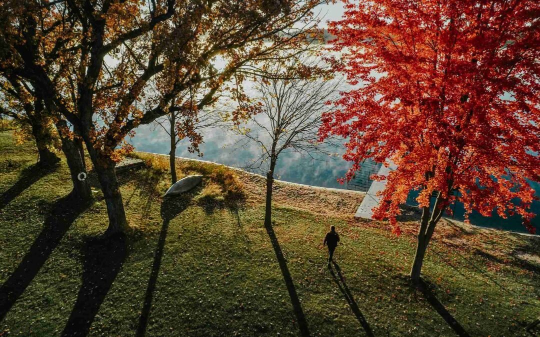 The Hidden Grief We Carry Through Healing & Transformation